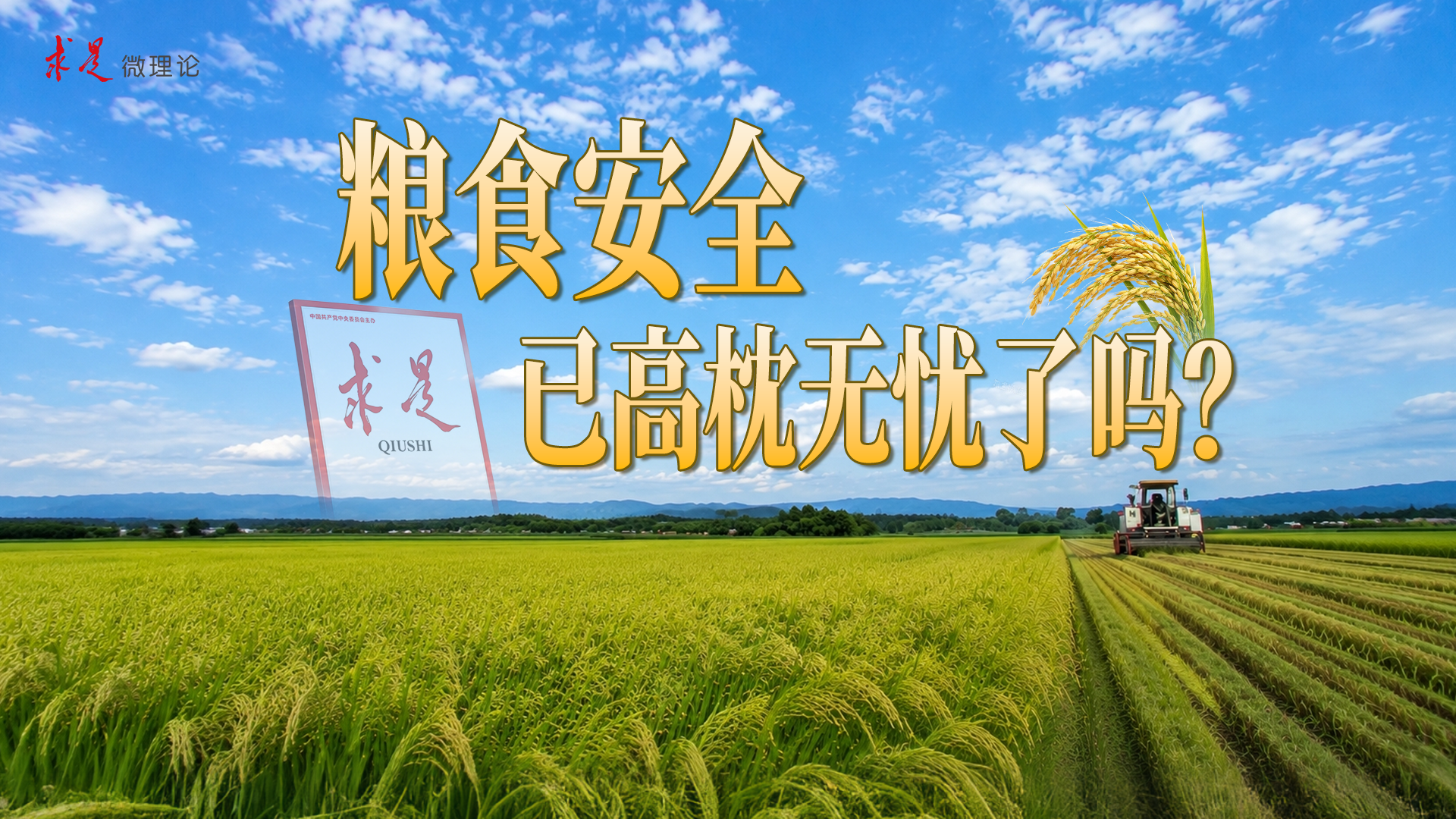 粮食安全已高枕无忧了吗？